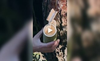 Как в древнем Китае изготавливали кисти