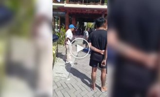 Туристы украли из отеля полотенца, халаты и пульт от телевизора