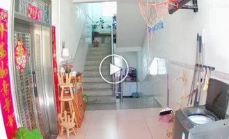 Как черепаха по лестнице спуститься пыталась