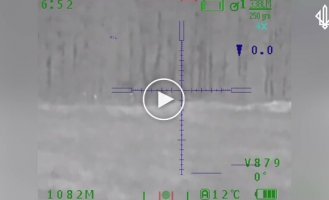 Снайперы уничтожают вражескую разведгруппу на харьковском направлении