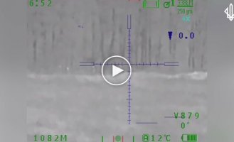 Snipers destroy an enemy reconnaissance group in the Kharkov direction