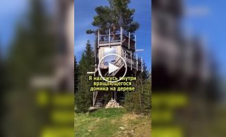 Будиночок, що обертається, на дереві посеред лісу