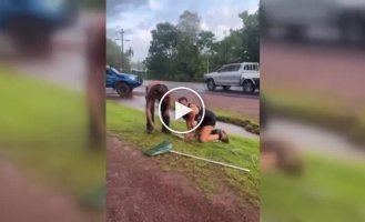 An Australian woman helped catch a crocodile