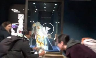 У Лондоні активісти закидали яблучним пирогом корону Британської імперії