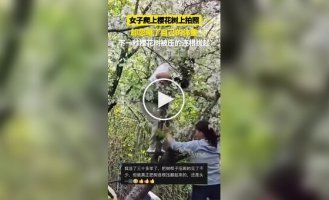 Женщина уронила дерево в шанхайском парке