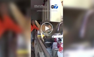 Кот прогнал енота из дома хозяйки