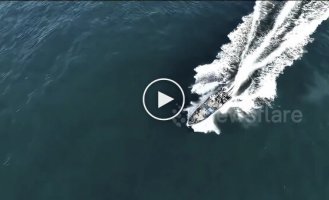 Fishermen crash into a whale