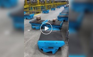 A meeting of two robots in a warehouse