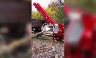 Special apparatus for creating firewood from wood