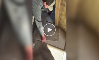 Ідеальна стикування: Як рівно укласти дошки