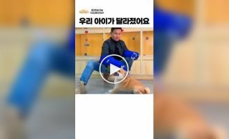 Тренер показал, как агрессивную собаку удалось скорректировать