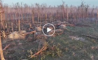 Broken positions of the Russian military in the Serebryansky forest