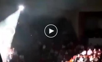 В ярославском цирке бобер выдал сюрприз зрителям