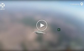 Border guards destroyed 5 enemy reconnaissance UAVs in Sumy region - Supercam and Zala