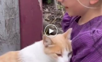 A touching meeting between a girl and a kitten