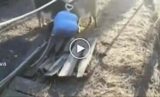 И как теперь их оттуда вытаскивать