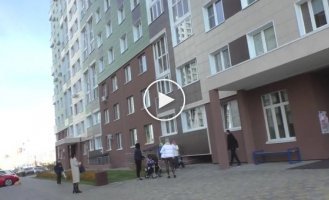 В Омске парень спас застрявшего в окне кота