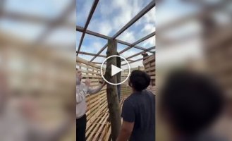 Friends made a childhood dream come true