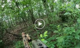 Бойцы CCO зашли с тыла и провели успешный налет на позицию оккупантов на границе с РФ