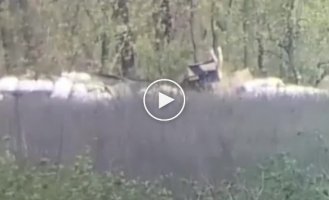 Ukrainian sniper destroys Russian military in Donbas