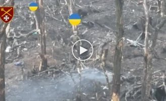 Украинские воины взяли в плен 12 оккупантов на запорожском направлении