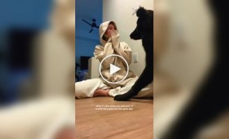 9-месячный щенок удивил всех своими гигантскими размерами