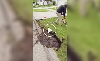 Профессиональная уборка