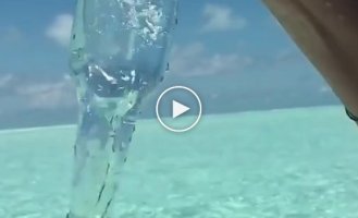 Уже собираю чемоданы. Насколько чистая вода на Багамских островах