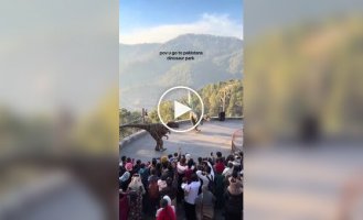 In Pakistan, dinosaurs perform national dances Dancing