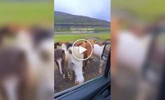 Необычная пробка в Исландии