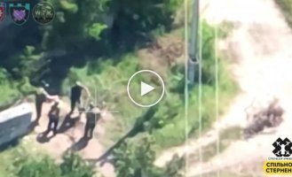 Arrival of a Ukrainian FPV drone by a Russian mortar crew on the left bank of the Kherson region