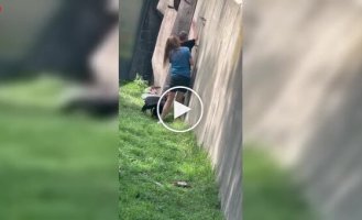 13-летний мальчик перелез в вольер зоопарка и устроил погоню за птицами