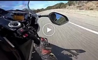 Авария уровня боевик