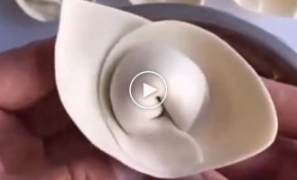 Several beautiful ways to sculpt dumplings