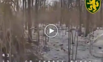 Defense forces destroyed a camouflaged Russian Grad in the Pokrovsky direction with drones