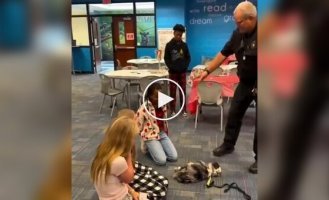 В США песик «оживает» только после идеального массажа сердца