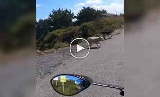 Когда проходишь миссию в игре по стелсу