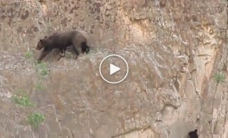 Скалолазы в дикой природе