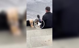 Сидим с бобром за столом, вдвоем