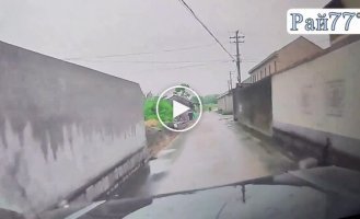 An owner with a shovel, chasing a dog, miraculously did not get hit by a car