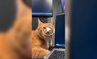 Стан на роботі після святкових вихідних