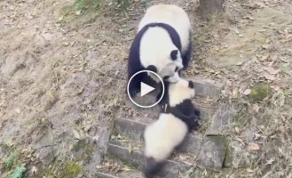 Fun for pandas