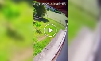 Самолет с туристами рухнул во Французских Альпах