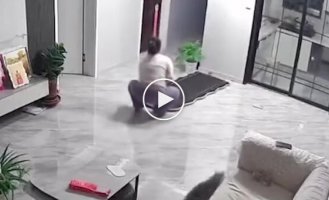 A pregnant woman was injured by a mirror knocked over by a cat