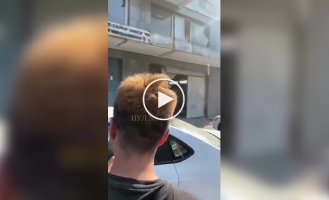 A sparrow settled on a Chinese man’s head and refused to leave