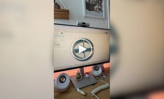 Кошачья слот-машина