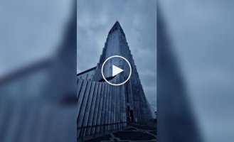 Красивое и удивительное (короткие видео). Выпуск 65