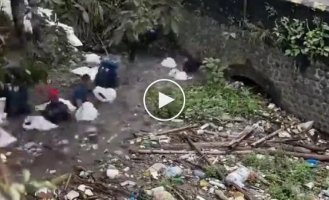 Caring Indonesians clean water bodies of garbage every day