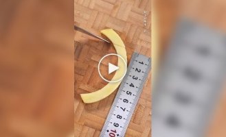 Гребешок для волос из картошки