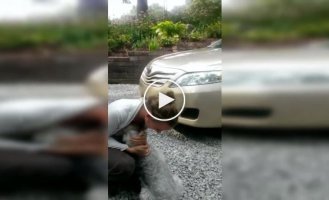 The dog almost fainted when meeting his owner after 2 years of separation